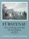 FÜRSTENAU 3 Trios mit Fugen op.22/2 - Trio G-dur