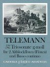 TELEMANN 57. Sonata a tre in G minor (TWV 42:e8)