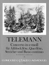 TELEMANN Concerto e-moll TWV 52:e1 - KA mit Solost